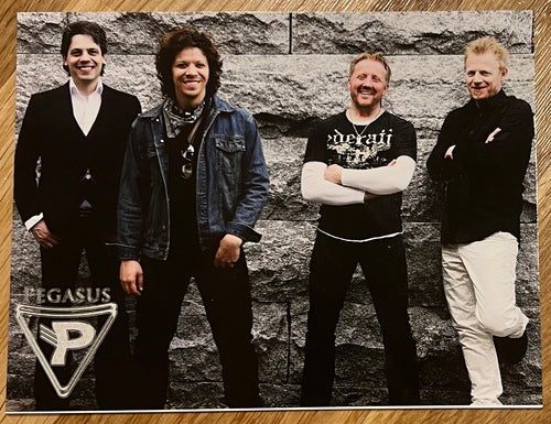 Lite Pegasus bandkort fra 2016